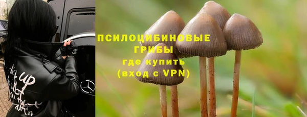 ГАЛЛЮЦИНОГЕННЫЕ ГРИБЫ Дмитров