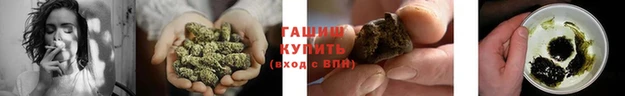 СК Новосибирск