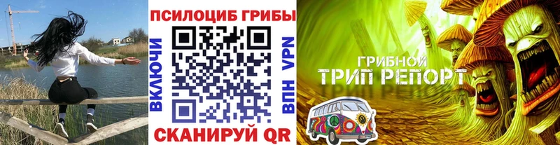 Псилоцибиновые грибы Magic Shrooms  купить   hydra как войти  Карпинск 