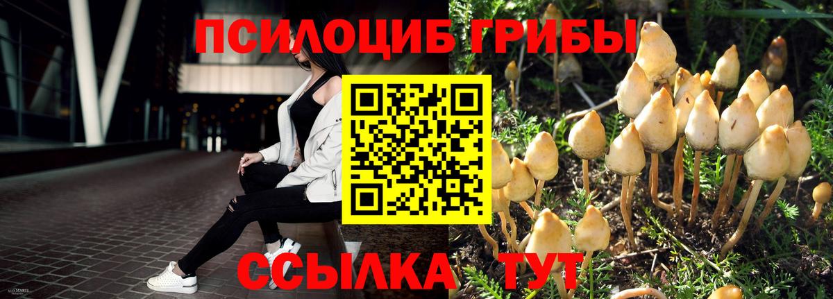 Псилоцибиновые грибы ЛСД Карпинск