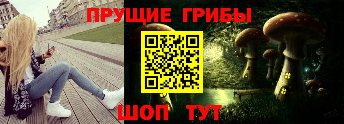 Псилоцибиновые грибы GOLDEN TEACHER  Карпинск 