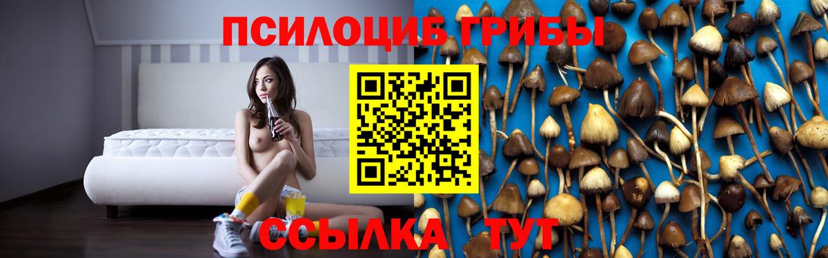 Псилоцибиновые грибы Psilocybe Карпинск
